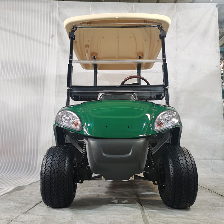2-місний електричний гольф-кар з літієвою батареєю – кольори, які можна налаштувати