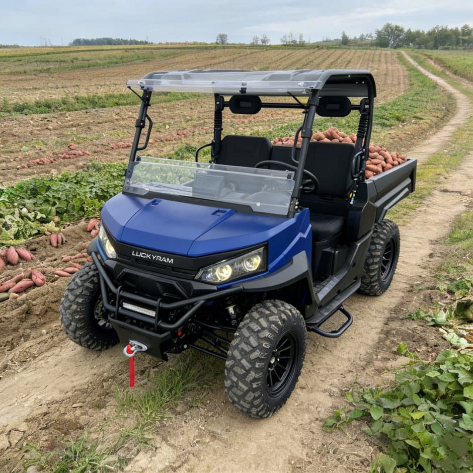 73,6 В 4WD UTV 10 кВт Двигун змінного струму EPS Кермове керування 150 год Акумулятор